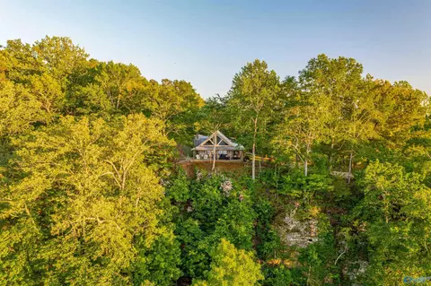 1996 Mohawk Cliff Rd, Ohatchee, AL 36271 photo 4