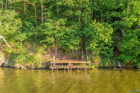 1996 Mohawk Cliff Rd, Ohatchee, AL 36271 photo 10