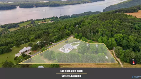 441 Moss View Rd, Section, AL 35771 photo 45