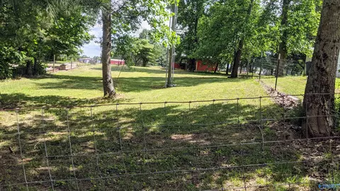 441 Moss View Rd, Section, AL 35771 photo 40