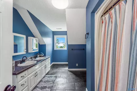 441 Moss View Rd, Section, AL 35771 photo 32
