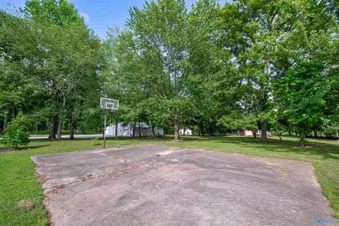 441 Moss View Rd, Section, AL 35771 photo 36
