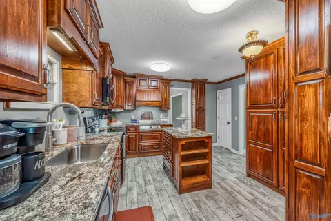 441 Moss View Rd, Section, AL 35771 photo 18