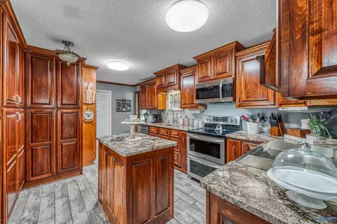 441 Moss View Rd, Section, AL 35771 photo 16