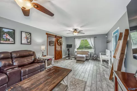 441 Moss View Rd, Section, AL 35771 photo 14
