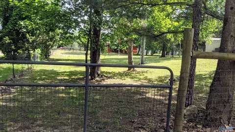 441 Moss View Rd, Section, AL 35771 photo 41