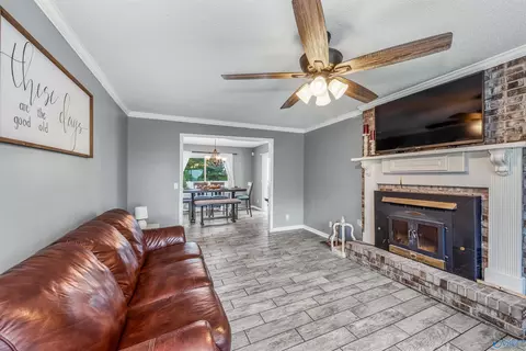 441 Moss View Rd, Section, AL 35771 photo 20