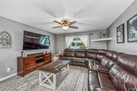441 Moss View Rd, Section, AL 35771 photo 15