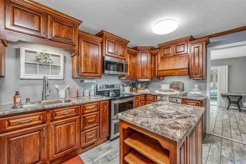 441 Moss View Rd, Section, AL 35771 photo 17