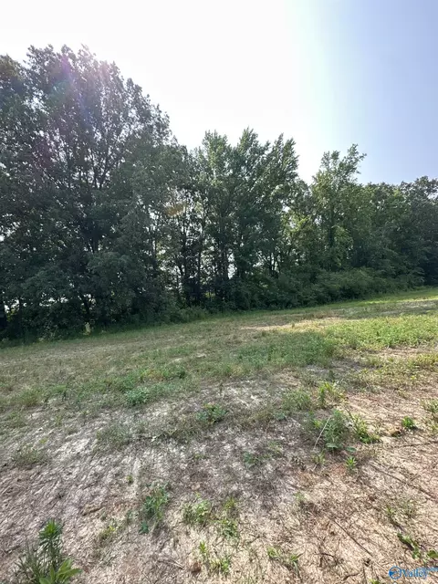 Tract 45 Hays Mill Road, Elkmont, AL 35620