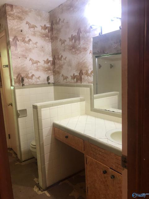 355 Mobbs School Rd, Arab, AL 35016 photo 24