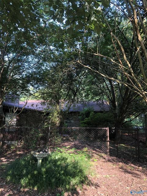 355 Mobbs School Rd, Arab, AL 35016 photo 12