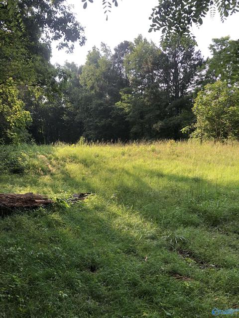 355 Mobbs School Rd, Arab, AL 35016 photo 6