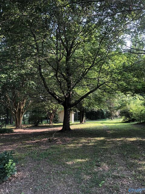 355 Mobbs School Rd, Arab, AL 35016 photo 46