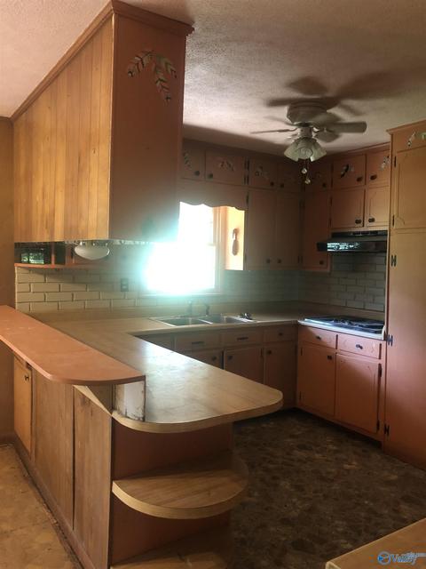 355 Mobbs School Rd, Arab, AL 35016 photo 41