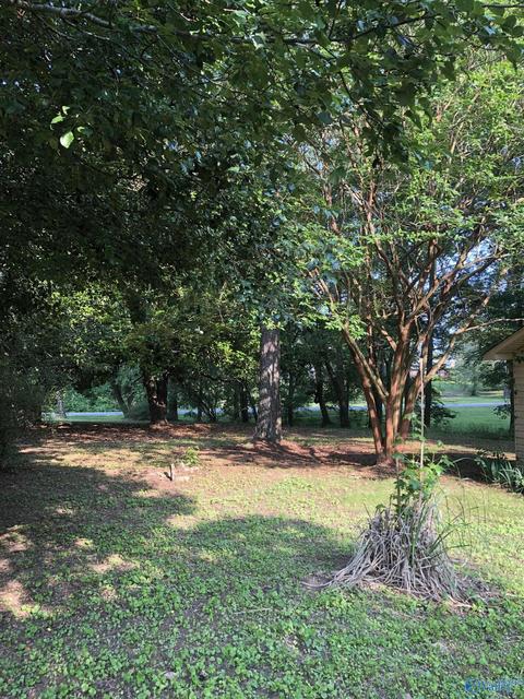 355 Mobbs School Rd, Arab, AL 35016 photo 45