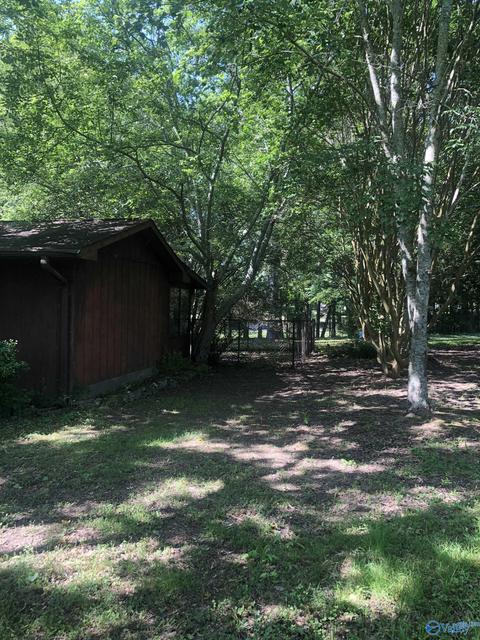 355 Mobbs School Rd, Arab, AL 35016 photo 13