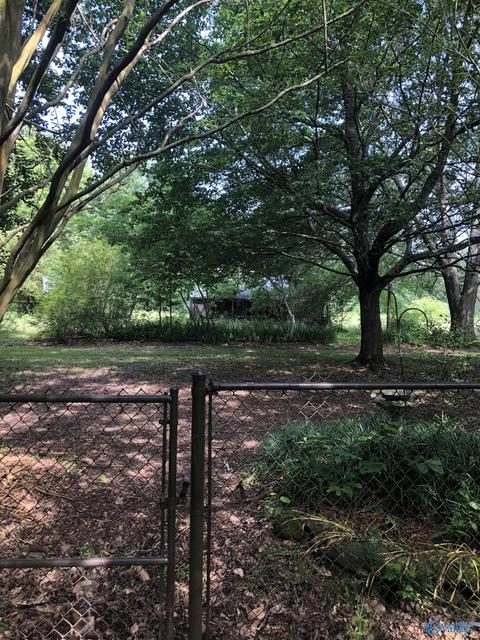355 Mobbs School Rd, Arab, AL 35016 photo 11