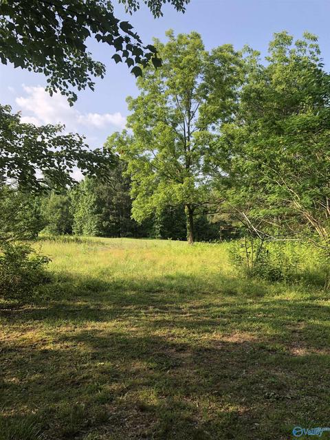 355 Mobbs School Rd, Arab, AL 35016 photo 4