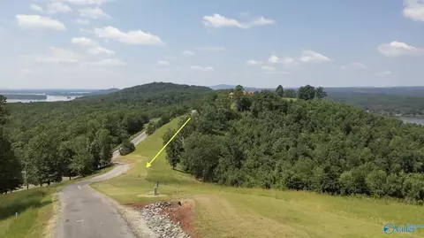 lot212 County Road 1022 # 212, Cedar Bluff, AL 35959