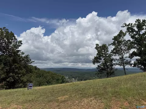 lot213 County Road 1022 # 213, Cedar Bluff, AL 35959