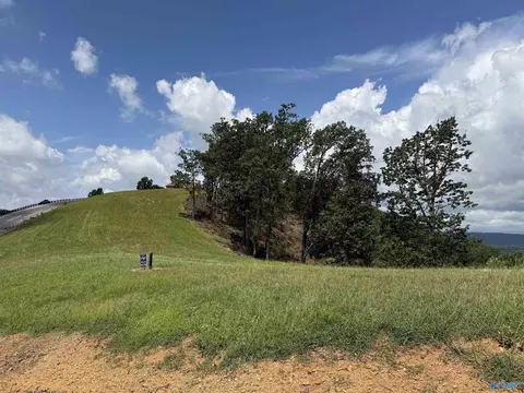 lot214 County Road 1022 # 214, Cedar Bluff, AL 35959