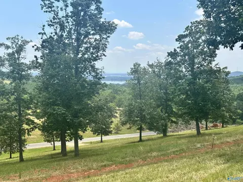 lot218 County Road 1022 # 218, Cedar Bluff, AL 35959