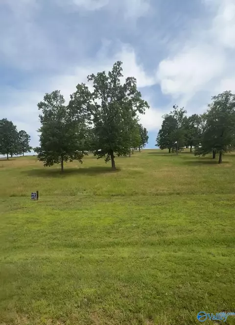 lot220 County Road 767 # 220, Cedar Bluff, AL 35959