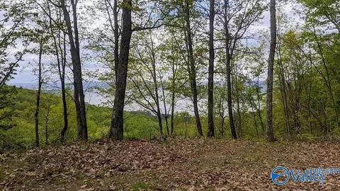 2759 County Road 265, Section, AL 35771 photo 2