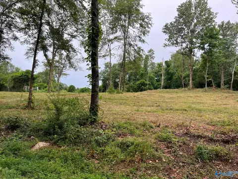 lot4 Cherrywood Dr, Guntersville, AL 35976