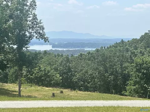 lot228 County Road 767 # 228, Cedar Bluff, AL 35959