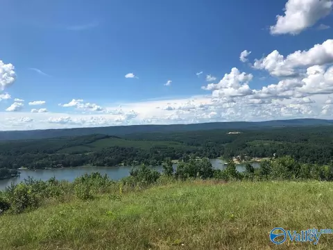 lot233 County Road 767 # 233, Cedar Bluff, AL 35959