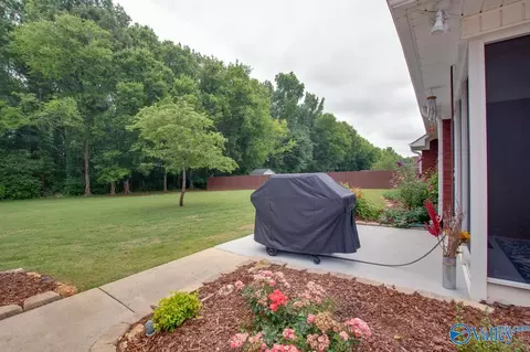 113 Rustic Cedar Ln, Madison, AL 35757 photo 8