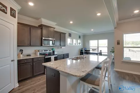 159 Riverfront Dr, Madison, AL 35756 photo 14