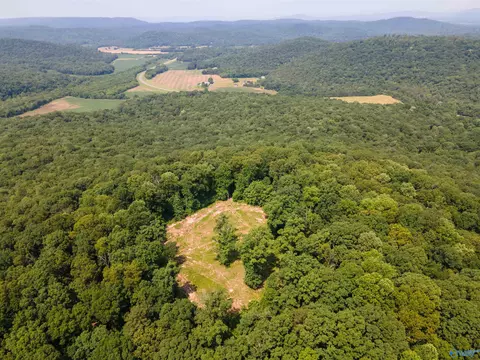 109 Acres Gurley Dr, Woodville, AL 35776