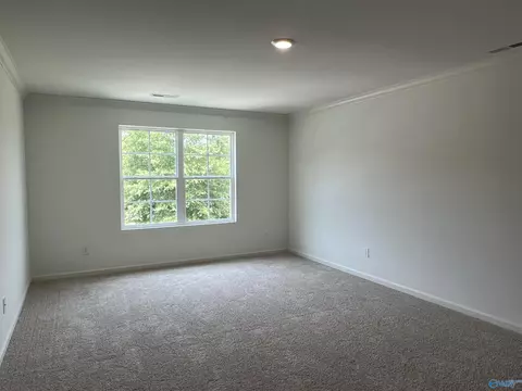 2467 Bluff Haven Ln, Hokes Bluff, AL 35903 photo 14