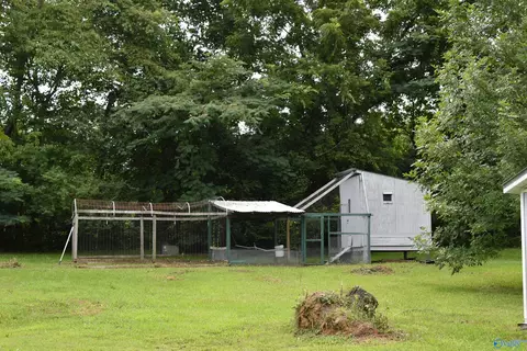 714 Randles Rd, Grant, AL 35747 photo 20