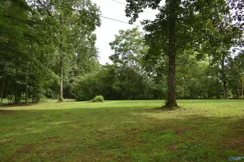 714 Randles Rd, Grant, AL 35747 photo 25