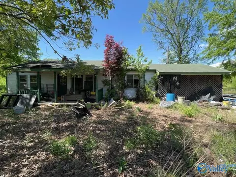 24605 County Road 460, Trinity, AL 35673 photo 1