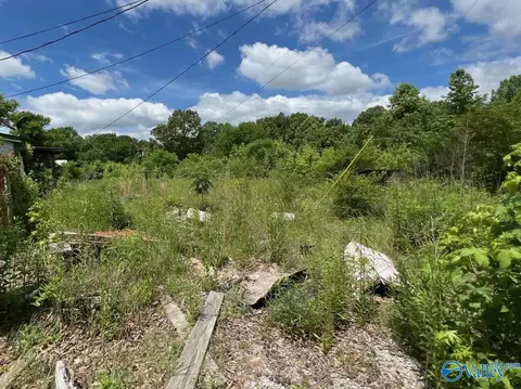 24605 County Road 460, Trinity, AL 35673 photo 8