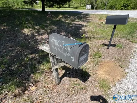 24605 County Road 460, Trinity, AL 35673 photo 2