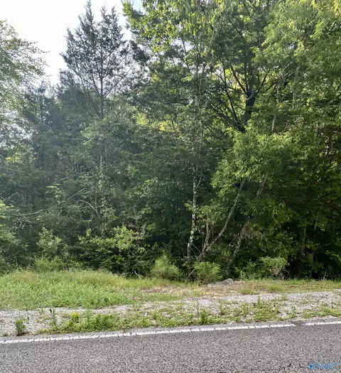 9010 County Road 434, Trinity, AL 35673 photo 3