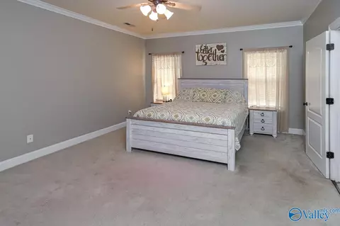 55 Mountain Cove Dr, Trinity, AL 35673 photo 22
