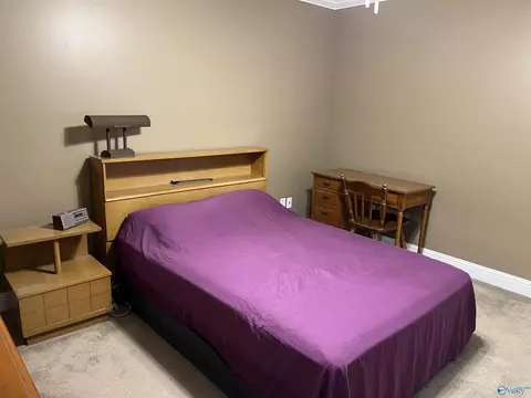176 Forest Home Dr, Trinity, AL 35673 photo 22