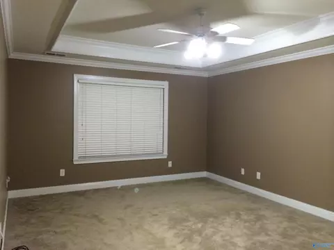 176 Forest Home Dr, Trinity, AL 35673 photo 16