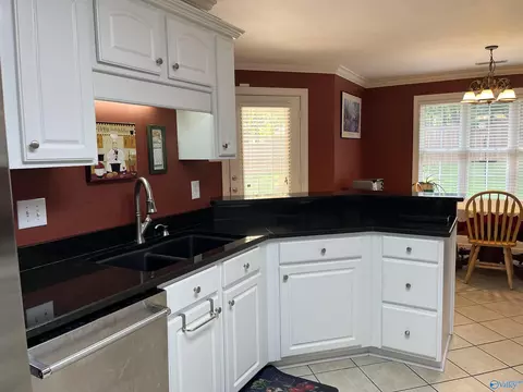 176 Forest Home Dr, Trinity, AL 35673 photo 14