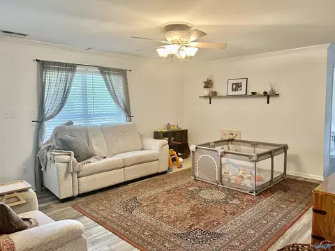 24107 County Road 460, Trinity, AL 35673 photo 6