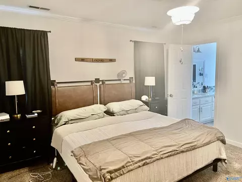 24107 County Road 460, Trinity, AL 35673 photo 15