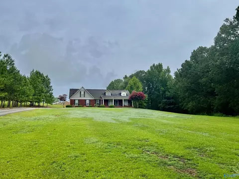 24107 County Road 460, Trinity, AL 35673 photo 3