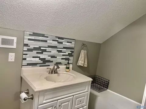 24107 County Road 460, Trinity, AL 35673 photo 35